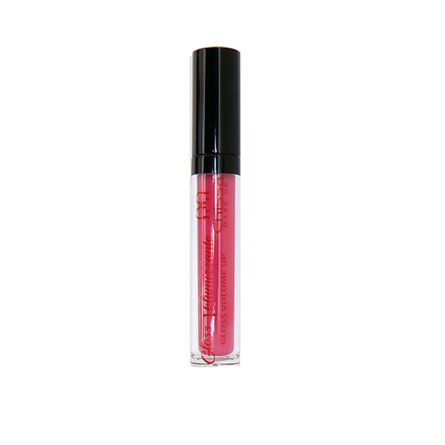 -CHISSA'GLOSS VOLUME 06 ROSA FASH